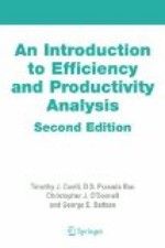 An Introduction to Efficiency