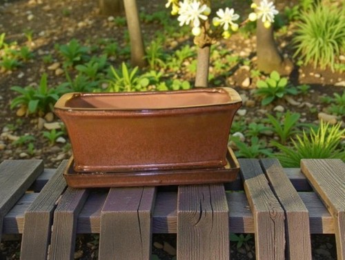 Vaso per bonsai ceramica - in,