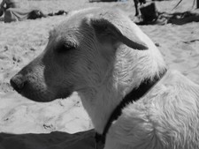 TomTom Start 2 IQ Routes