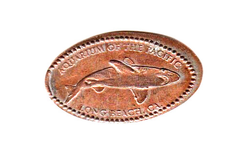 Penny allungato acquario del - penny,