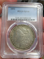 1893 Morgan Argento Dollaro