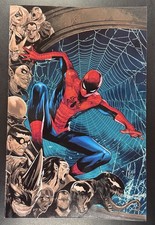 Amazing Spider-Man 874 / 1 Variant Marco Checchetto