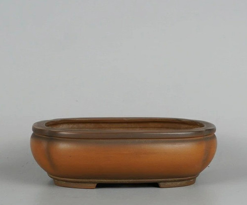 Vaso per bonsai giapponese