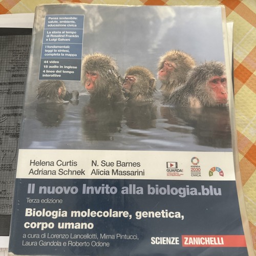9788808832498 nuovo invito - 9788808832498,