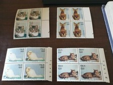 4 QUARTINE GATTO PERSIANO