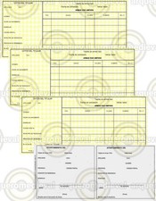 Scheda ufficiale armi 4a categoria aria compressa e softair + spedizione...