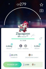 Shiny Galarian Zigzagoon che