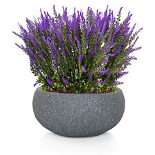 Ciotola Fioriera da Giardino