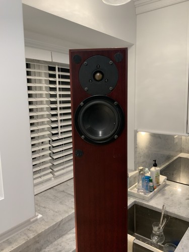 Single totem acoustic arro - single,