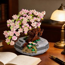 Sakura bonsai albero - , kit