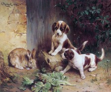Best friends coniglio - of,