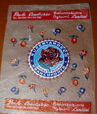 CONDURSO ESPORTAZIONI AGRUMI