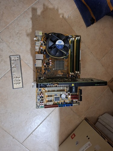Scheda madre asus p5k - madre,