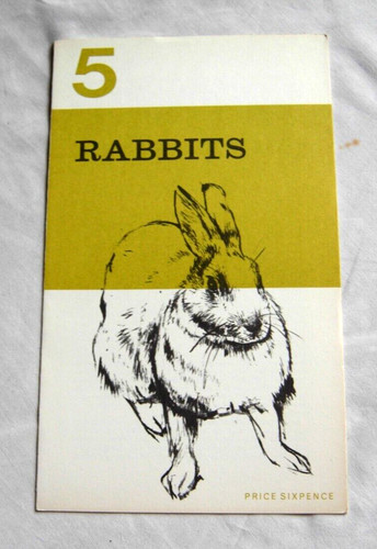 Rabbits 1965 the - no.5,