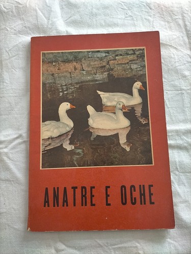 Als anatre oche antonio - als-60:,