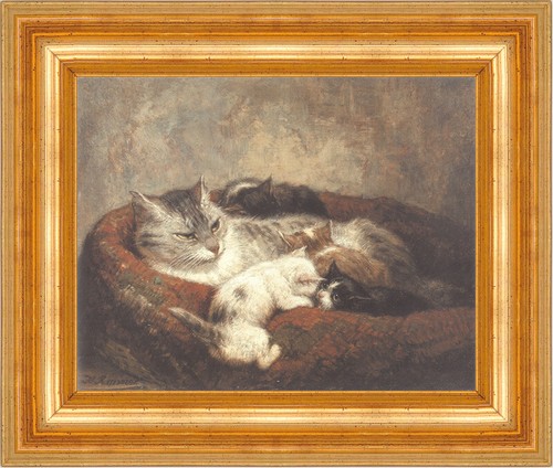 Henriette ronner knip - henriette, a