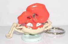 POKEMON KINGLER (Krabboss)