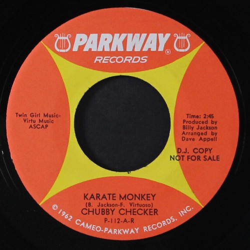 Chubby checker karate monkey - checker:,