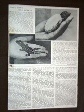 The crocodile in 1932 from the