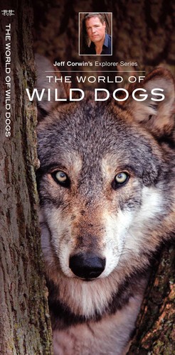 The world wild dogs - wild,