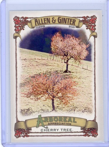 2021 topps allen ginter - 2021,