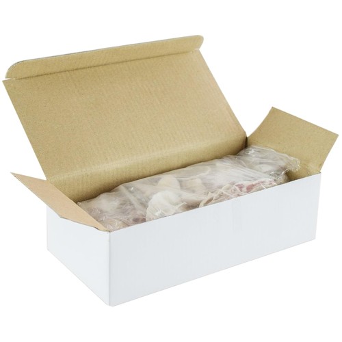 Assortimento conchiglie - assortimento, di