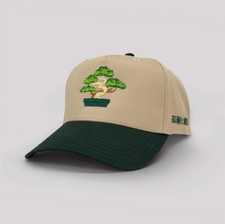 Bonsai Snapback Pazienza e
