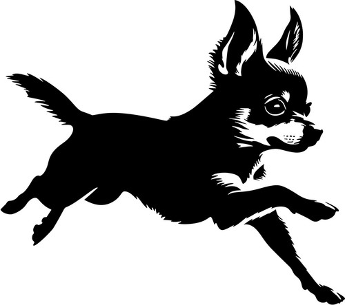Adesivo chihuahua - -,