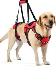 Imbracatura Sollevamento Cani