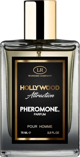 Hollywood attraction homme - hollywood,