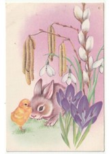 cartolina pasquale augurale d'epoca coniglio pulcino fiori primaverili