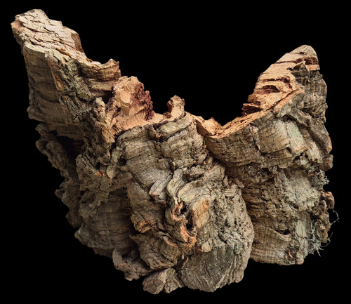 Corteccia sughero 28x19 - corteccia, cm