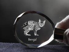 Bengala, Gatto Cristallo