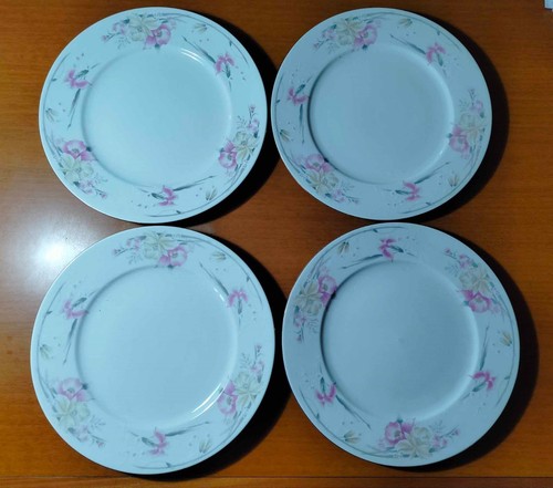 Piatti fine porcelain - fine,