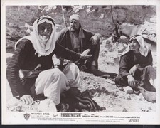 Rafik Shammas DESERTO PROIBITO