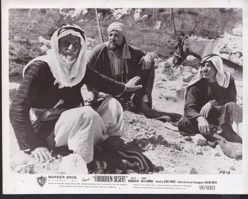 Rafik shammas deserto proibito - rafik,