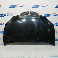 Cofano nero Lancia Y 2005