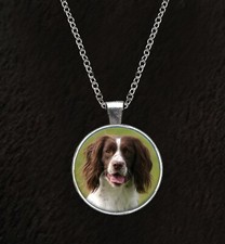 Ciondolo per cane Springer