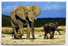 Postcard - ELEPHANT & BABY