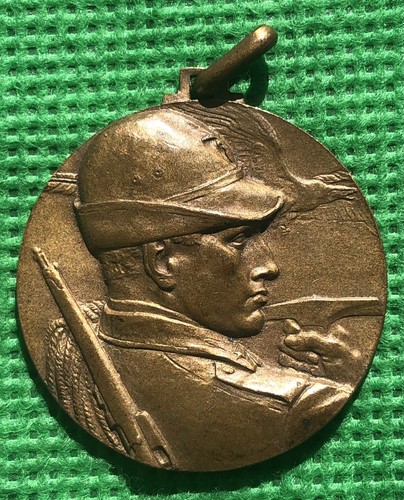 Medaglia reggimentale alpini - medaglia,