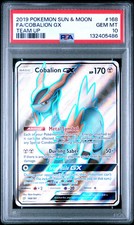 2019 Pokemon Sun & Moon Team