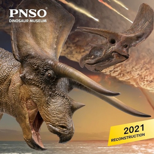 Pnso 2021 new doyle - pnso,