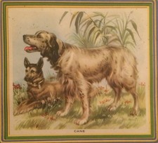 CINOPHILIA_DOGS_HUNTING