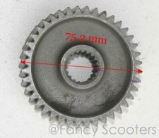 FIT HAMMERHEAD,YERF DOG