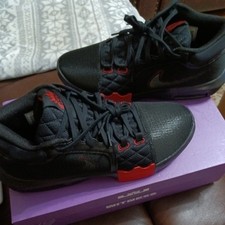 NIKE LEBRON TESTIMONE VIII 8