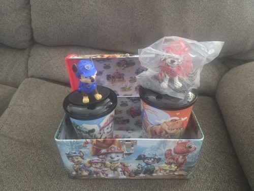 Paw patrol the dino - patrol,