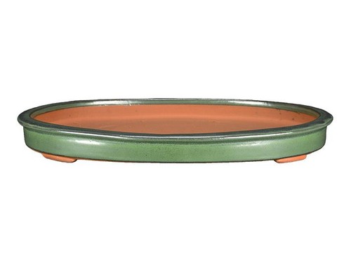 Vaso per bonsai - , ovale