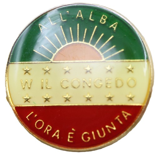 Distintivo spilla divisa - distintivo,