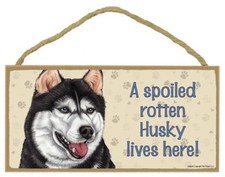 A Spoiled Rotten Husky lives