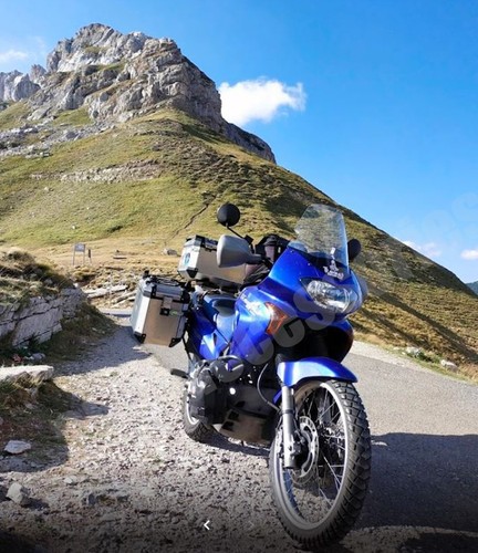 Honda 650 transalp - 650, v